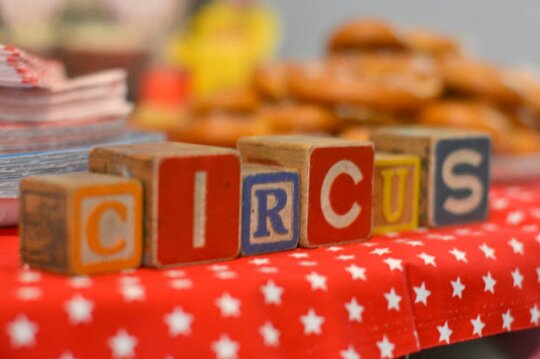 a vintage circus birthday party