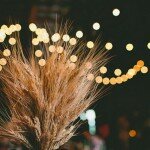 modern harvest wedding by mike olbinski