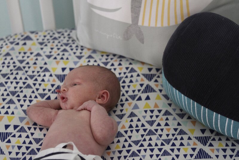 Calvin's California-Inspired Indigo Nursery | designed by Oh Lovely Day 
