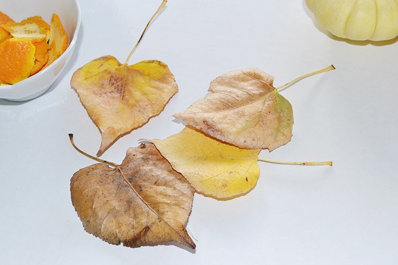 DIY Fall Escort Cards | Oh Lovely Day