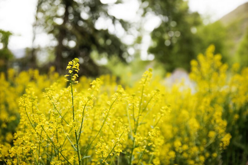 Rustic Sundance Wedding | Logan Walker Photography on Oh Lovely Day
