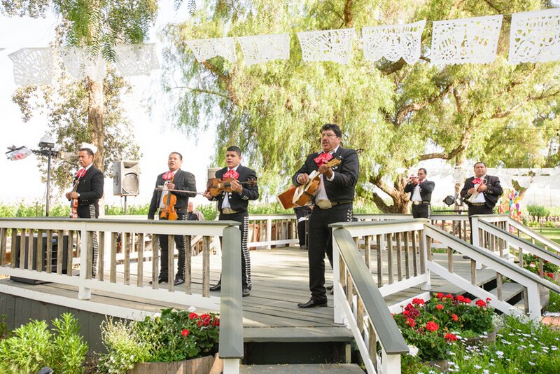 Colorful Fiesta Wedding | Lady of Light Photography