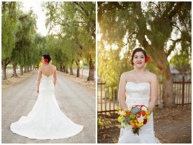 Colorful Fiesta Wedding | Lady of Light Photography