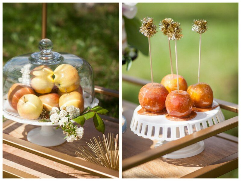 Equestrian Elopement Inspiration - Vanasse Studios5