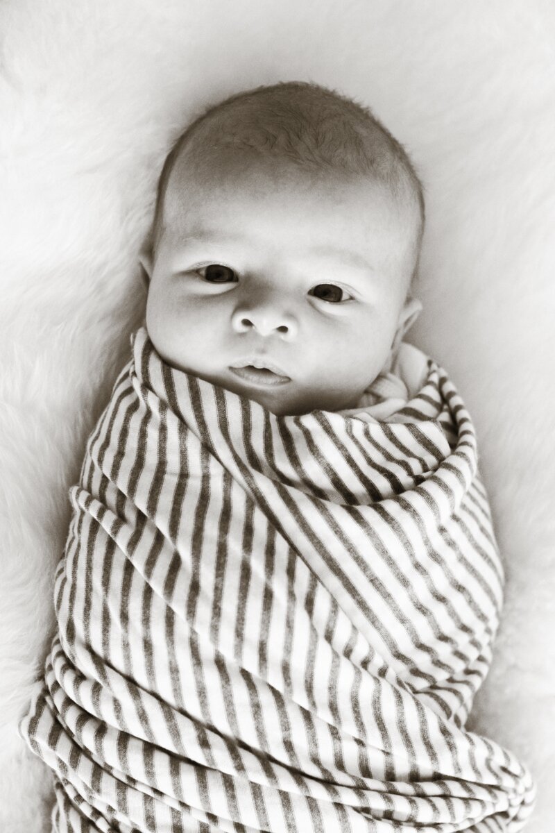 Quincy's Newborn Session + brother photos | Oh Lovely Day