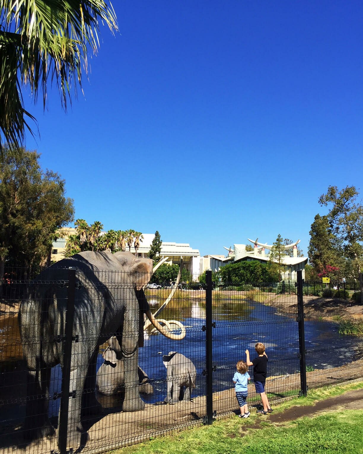 Oh Lovely Day's favorite family-friendly places in Los Angeles | where to take your kids in LA | ohlovelyday.com