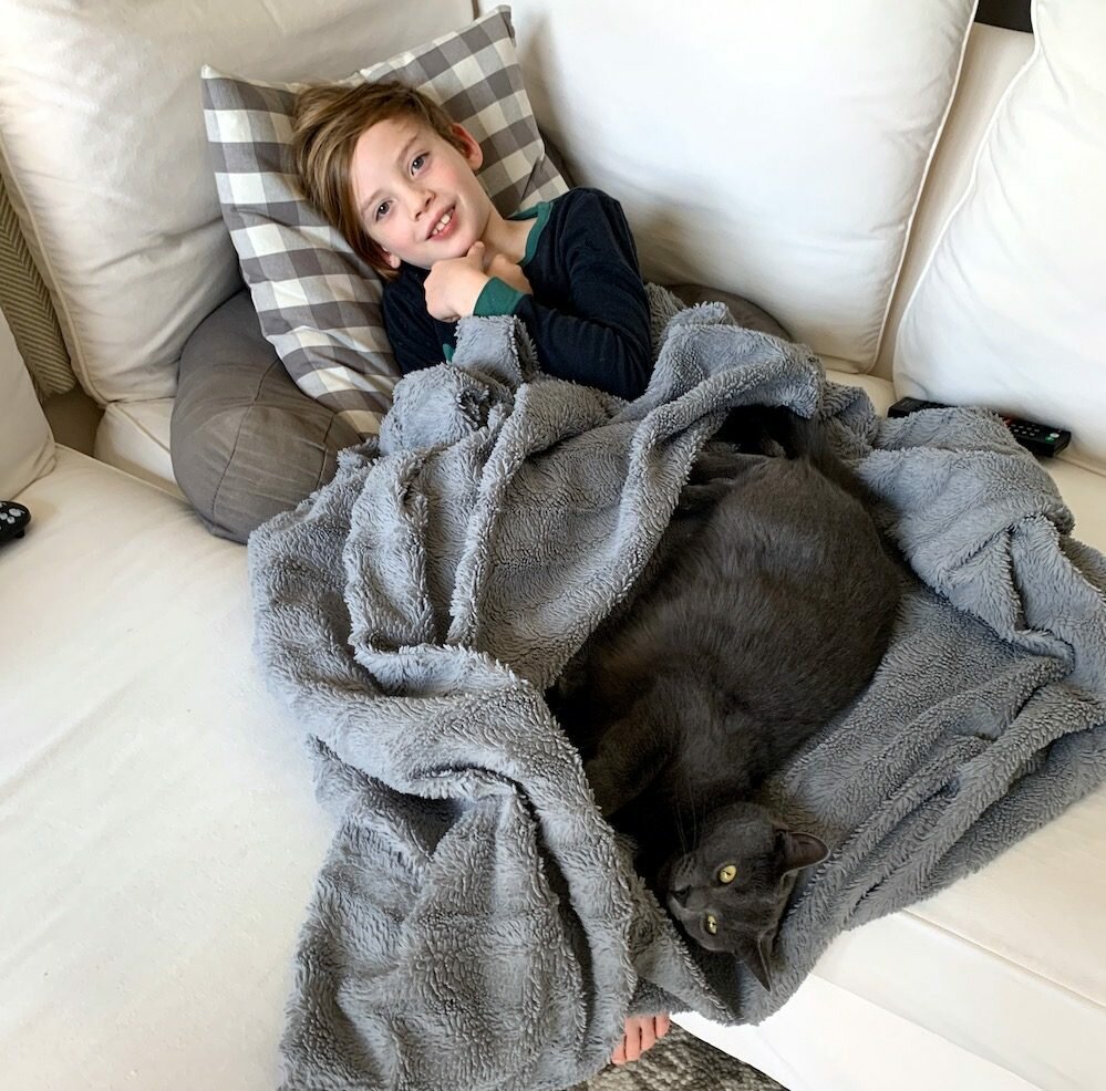 How our Ionic Cleanse has been important in my son's healing of Lyme and PANS/PANDAS recovery